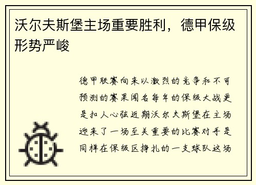 沃尔夫斯堡主场重要胜利，德甲保级形势严峻