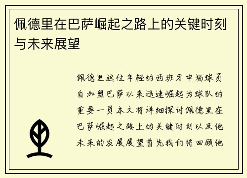 佩德里在巴萨崛起之路上的关键时刻与未来展望