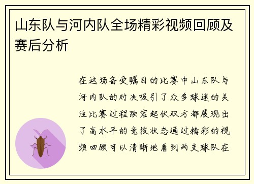 山东队与河内队全场精彩视频回顾及赛后分析